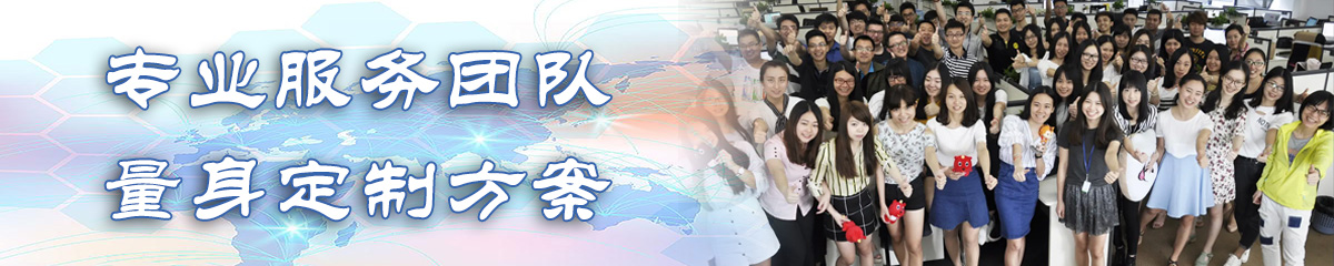 阜新BI软件